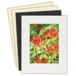 Archival Conservation Mounting Board - 1.5mm