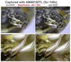 Digital Microscope - Standard Working Distance / 10x-220x / Caps / 5MP / EDOF / EDR | Dino Lite AM7915MZT 9 Digital Microscope - Standard Working Distance / 10x-220x / Caps / 5MP / EDOF / EDR | Dino Lite AM7915MZT -tools shop EDOF feature example image 1000x876