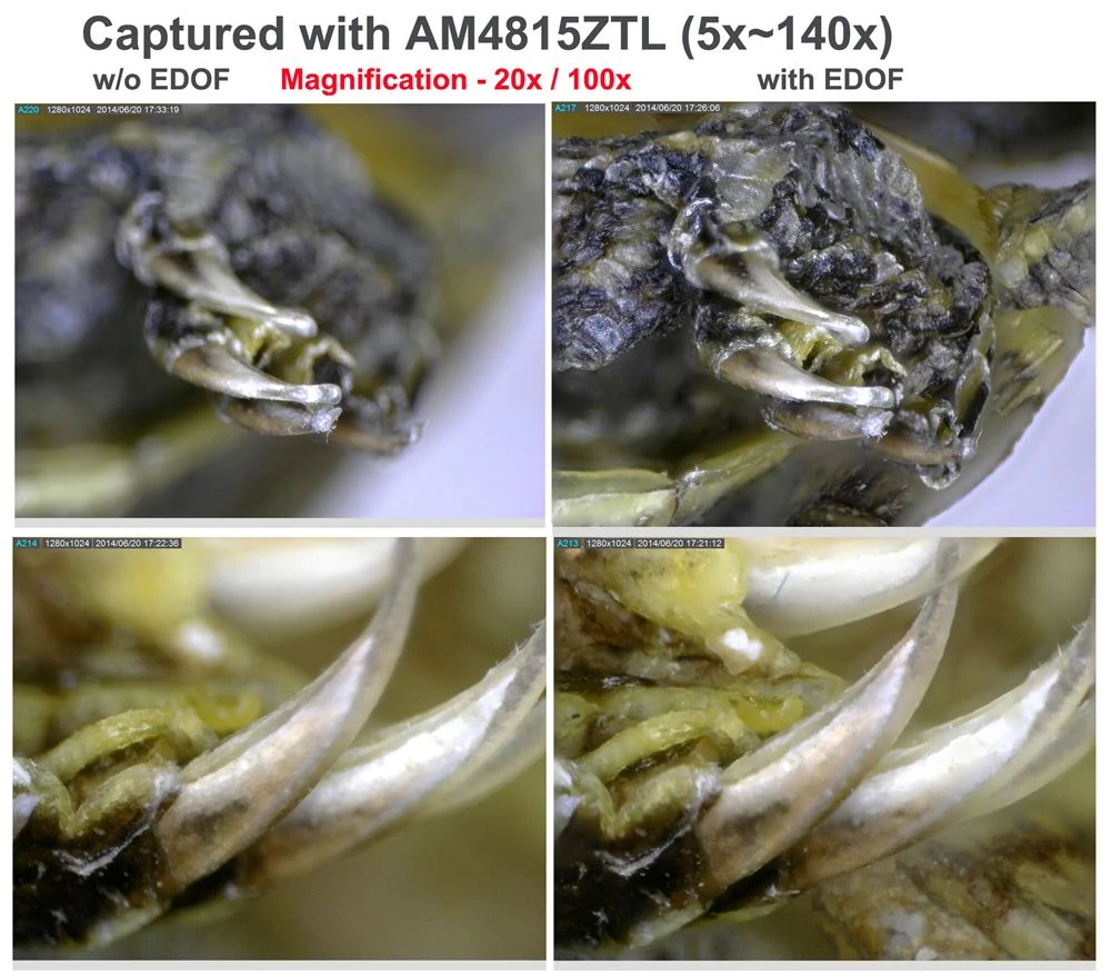 Digital Microscope - Standard Working Distance / 10x-220x / Caps / 5MP / EDOF / EDR | Dino Lite AM7915MZT 5 Digital Microscope - Standard Working Distance / 10x-220x / Caps / 5MP / EDOF / EDR | Dino Lite AM7915MZT - Image 5