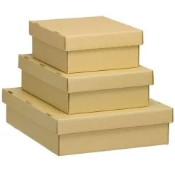 Heavy Duty Flat Storage Boxes (Unbuffered) | 3 Sizes | Up To 508mm X 406mm (20" X 16")