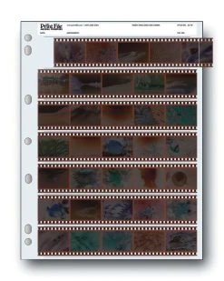 35mm Negative Storage Binder Page Holds 35no. Frames