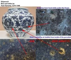 Digital Microscope - Standard Working Distance / 10x-70x & 200x / ABS | Dino Lite AM4113ZT -tools shop Porcelain inspection 1000x850