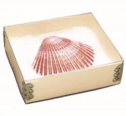 Top View Artifact Boxes